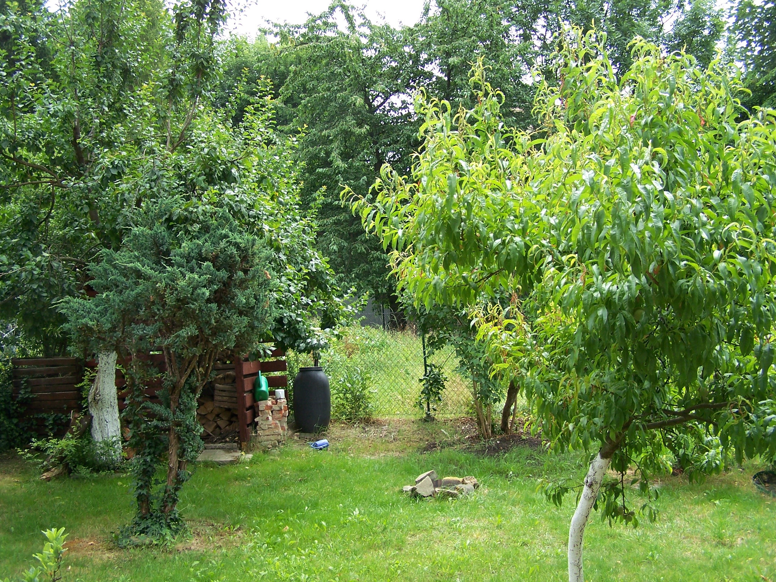 Zdjęcie nieruchomości